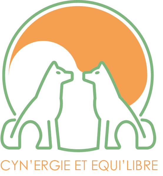 Cyn'ergie et Equi'libre